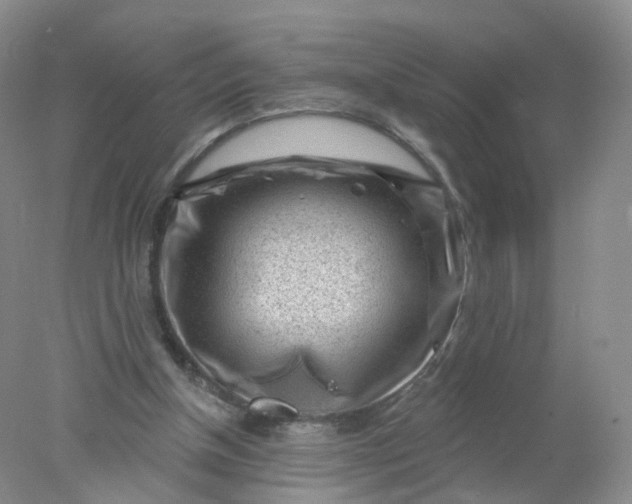 X0000078310154200611172224