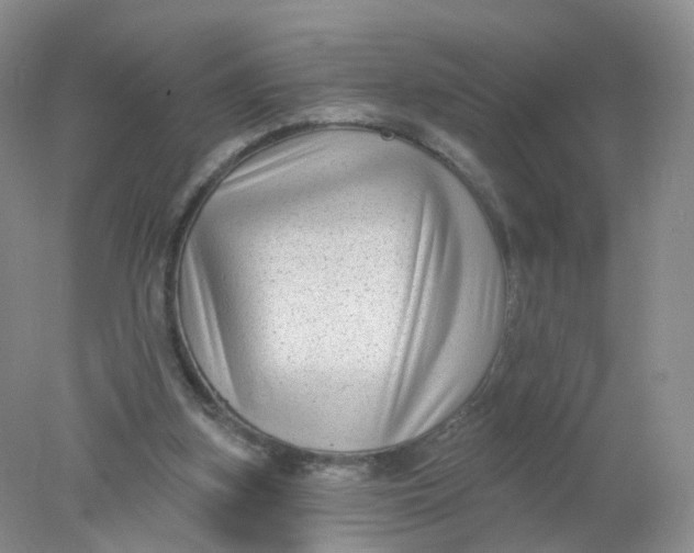 X0000078310155200611172224