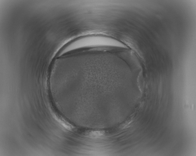 X0000078310156200611172224