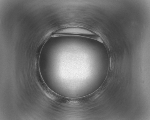 X0000078310157200611172224