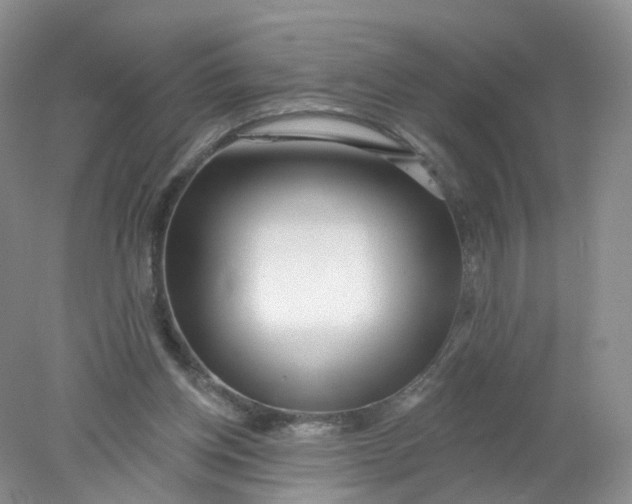 X0000078310158200611172224