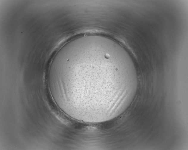 X0000078310159200611172224