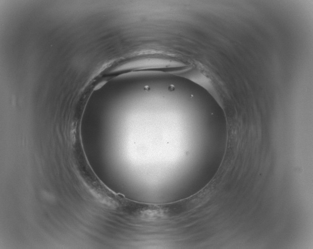 X0000078310160200611172224