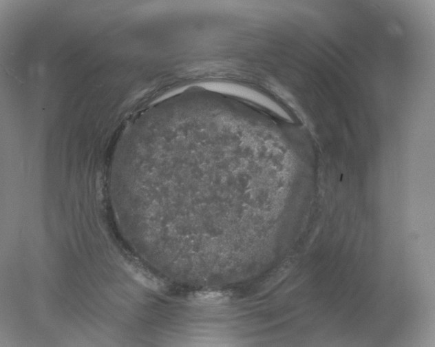 X0000078310161200611172224