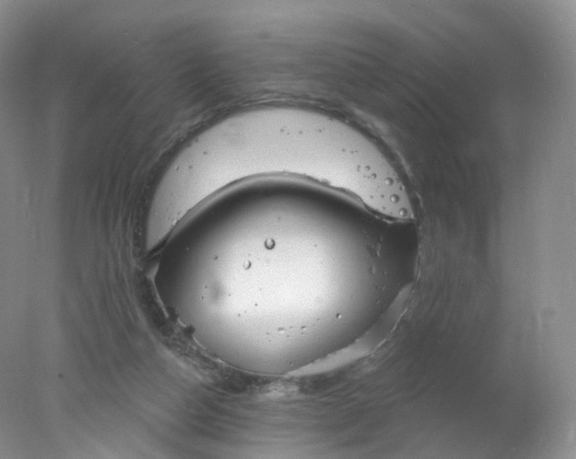 X0000078310162200611172224