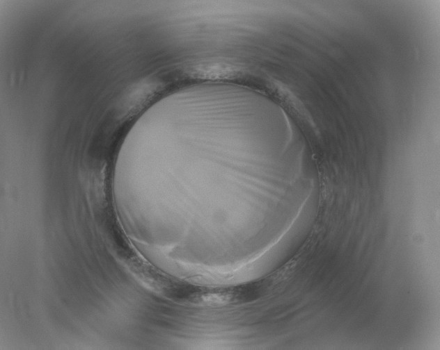 X0000078310163200611172224