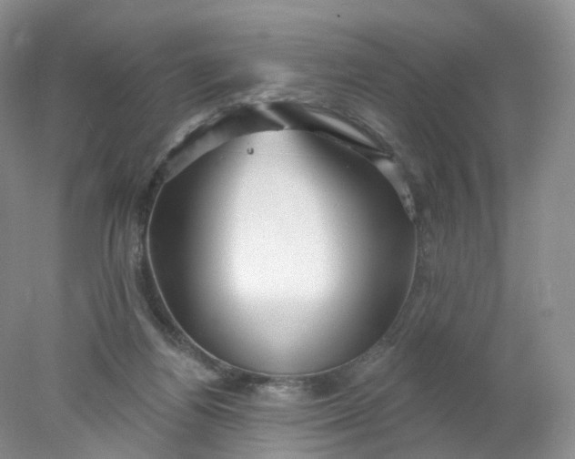 X0000078310164200611172224