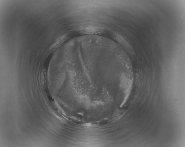 X0000078310165200611172224