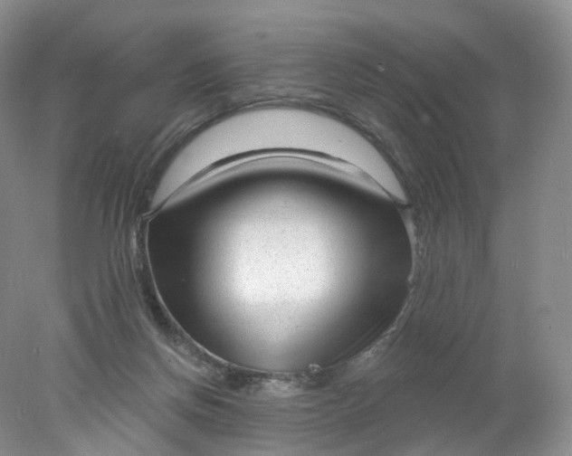 X0000078310166200611172224