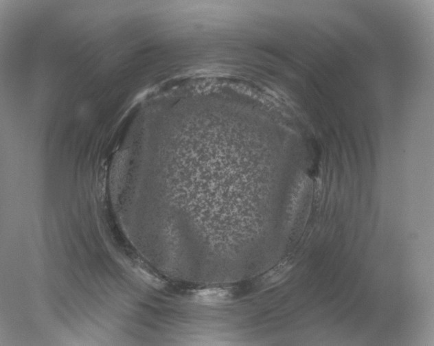 X0000078310168200611172224