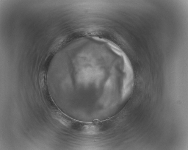 X0000078310169200611172224