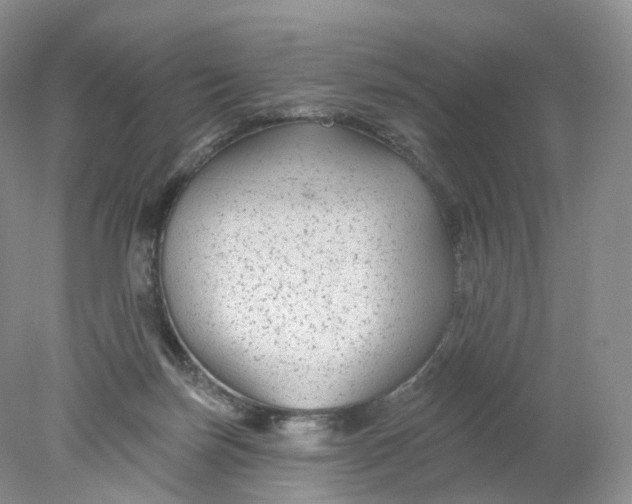 X0000078310171200611172224