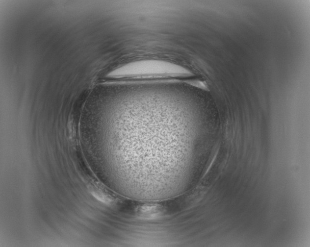 X0000078310173200611172224