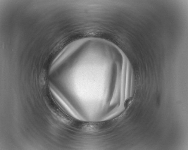 X0000078310174200611172224