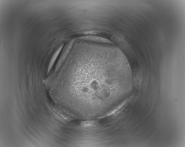 X0000078310175200611172224