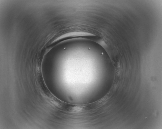 X0000078310176200611172224