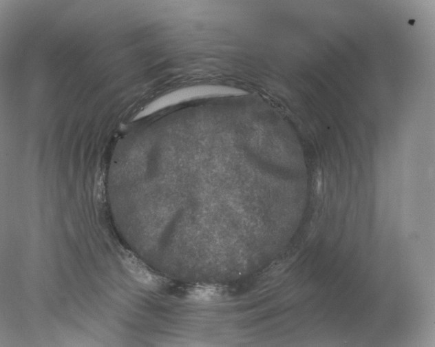 X0000078310177200611172224