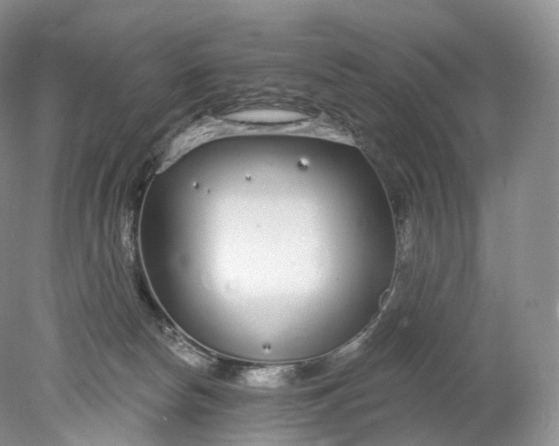 X0000078310178200611172224