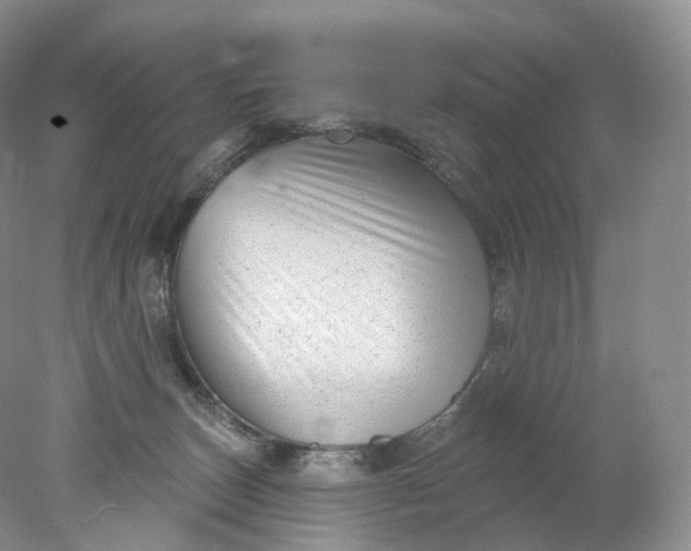 X0000078310179200611172224