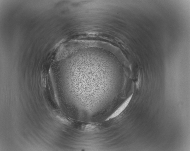 X0000078310180200611172224