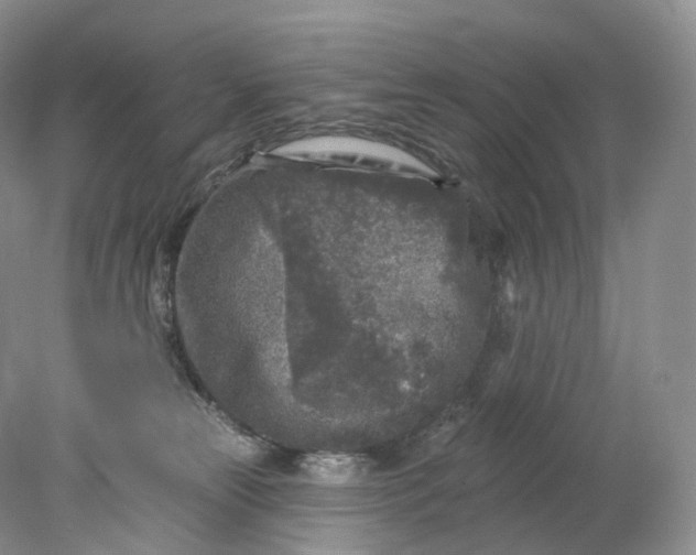 X0000078310181200611172224