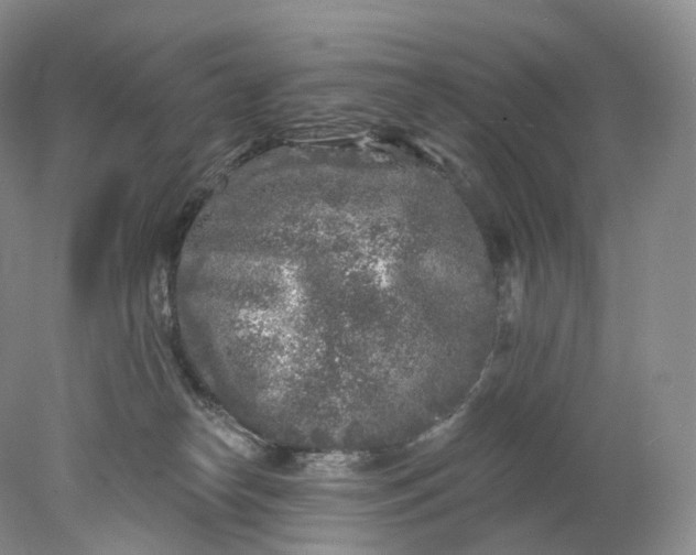 X0000078310182200611172224