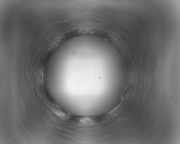 X0000078310183200611172224