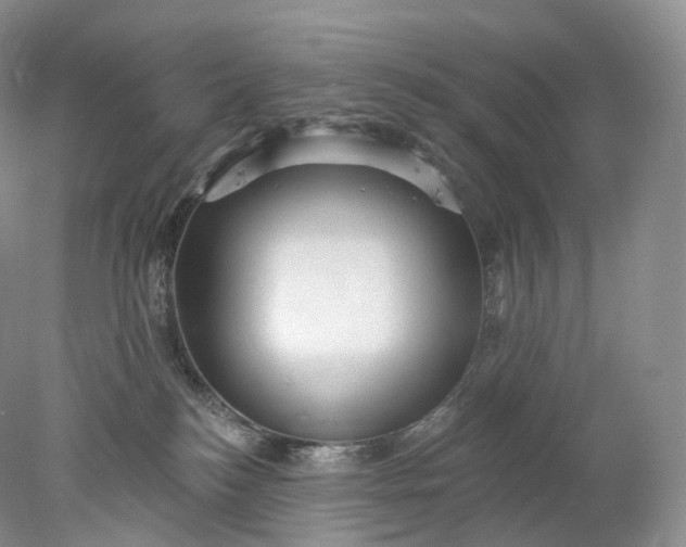 X0000078310184200611172224