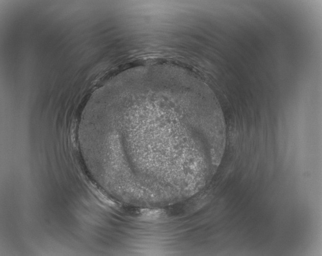 X0000078310185200611172224