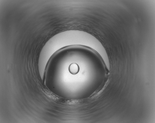 X0000078310186200611172224