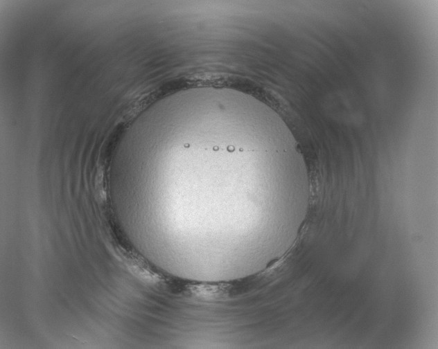 X0000078310187200611172224