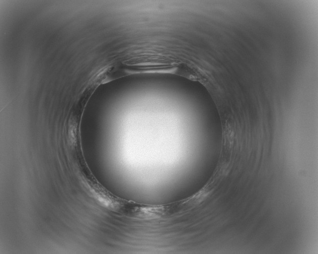 X0000078310188200611172224