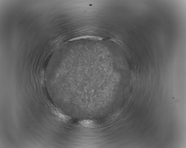 X0000078310189200611172224