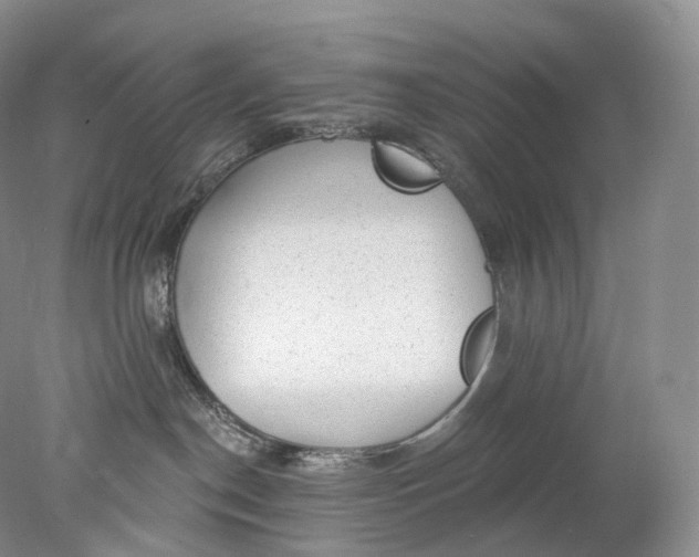 X0000078310190200611172224