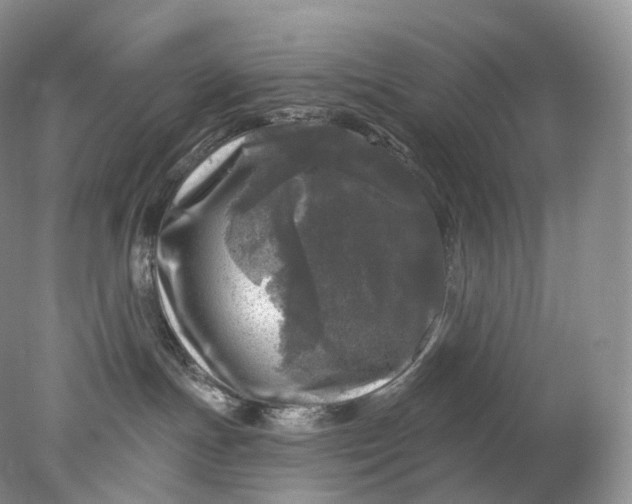 X0000078310191200611172224