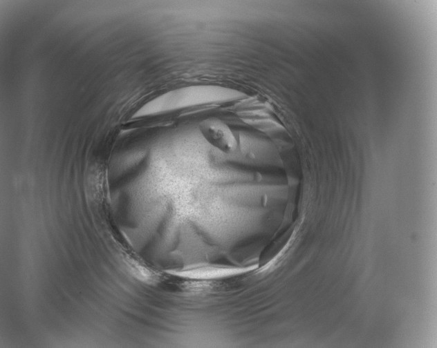 X0000078310192200611172224