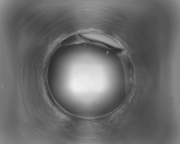 X0000078310193200611172223