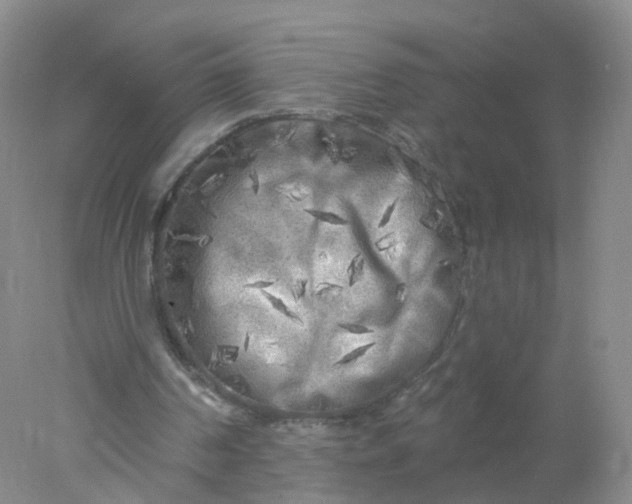 X0000078310194200611172223