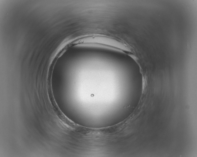 X0000078310195200611172223