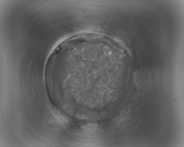 X0000078310196200611172223