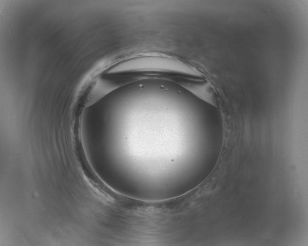 X0000078310197200611172223