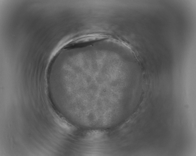 X0000078310198200611172223