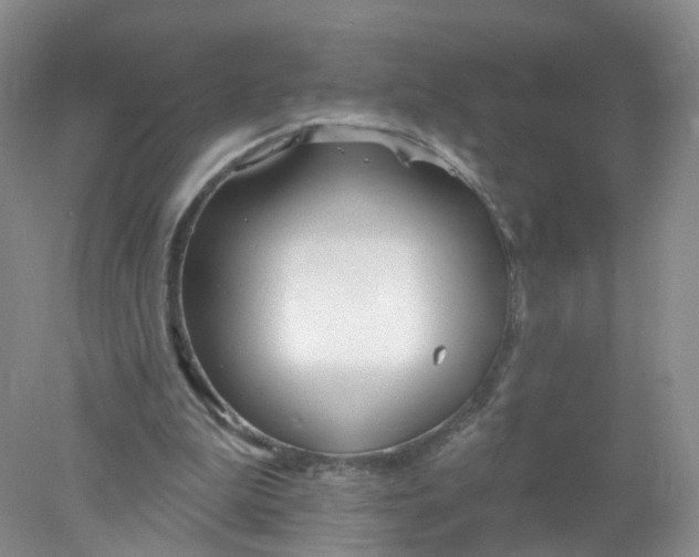 X0000078310199200611172223