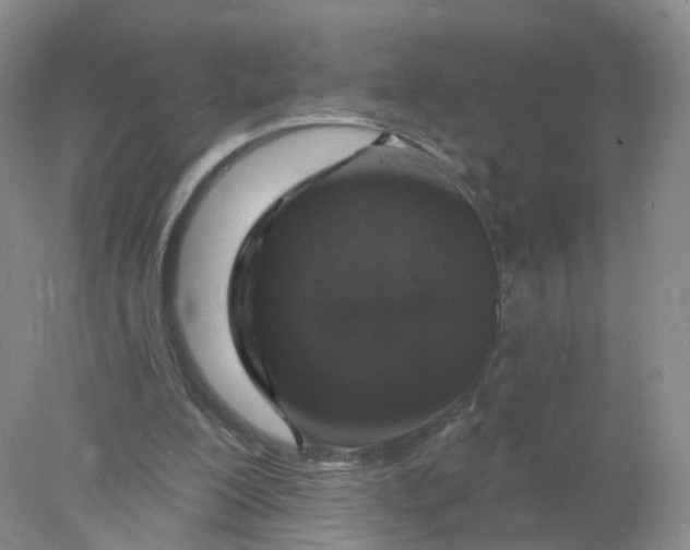 X0000078310200200611172223