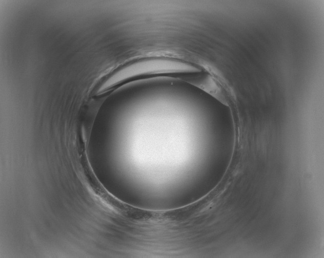 X0000078310201200611172223