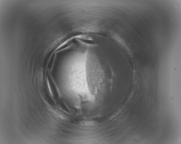 X0000078310202200611172223