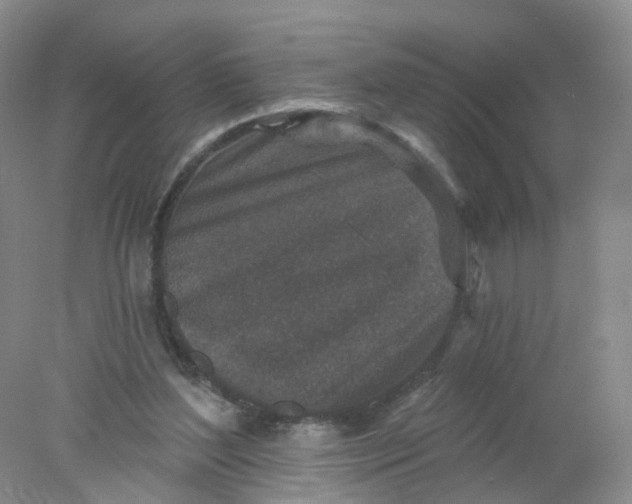 X0000078310204200611172223