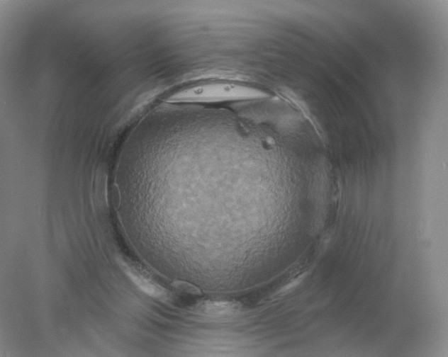 X0000078310205200611172223