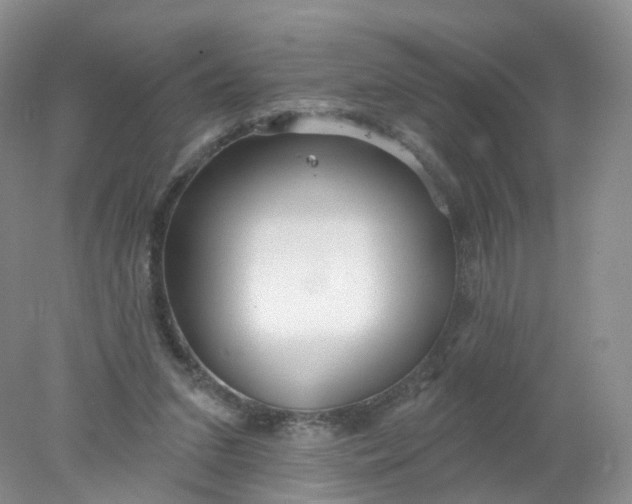 X0000078310207200611172223