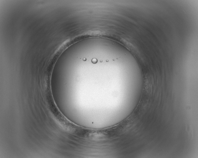 X0000078310208200611172223